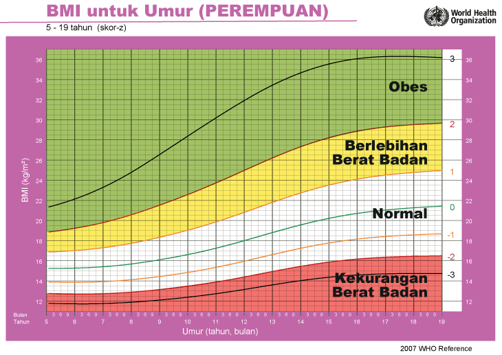 cara kira bmi kanak kanak