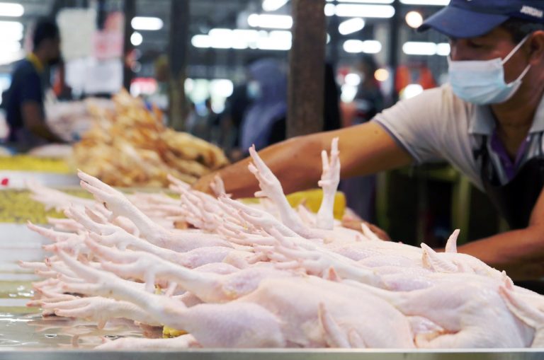 harga siling ayam telur