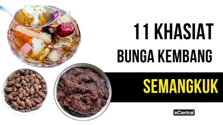 kembang semangkuk