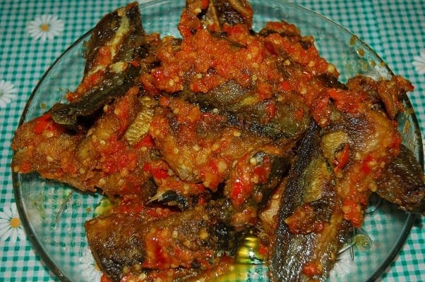 ikan keli