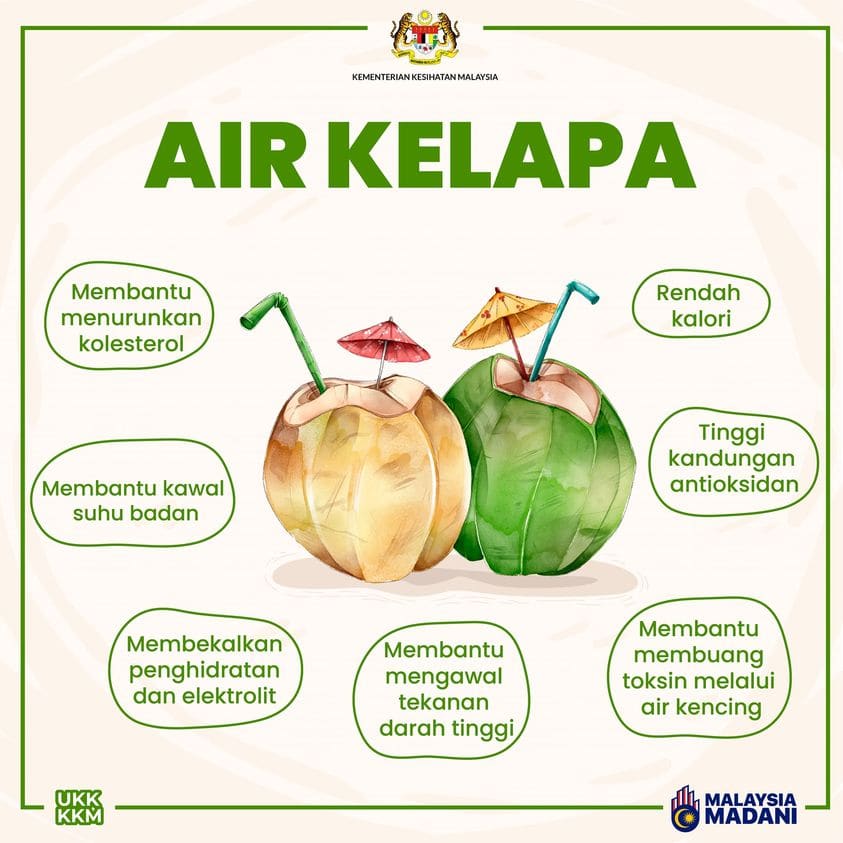 kelapa muda