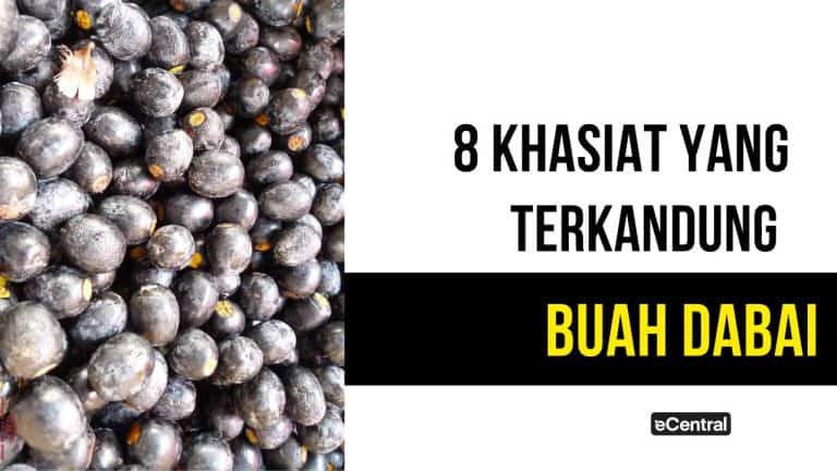 buah dabai