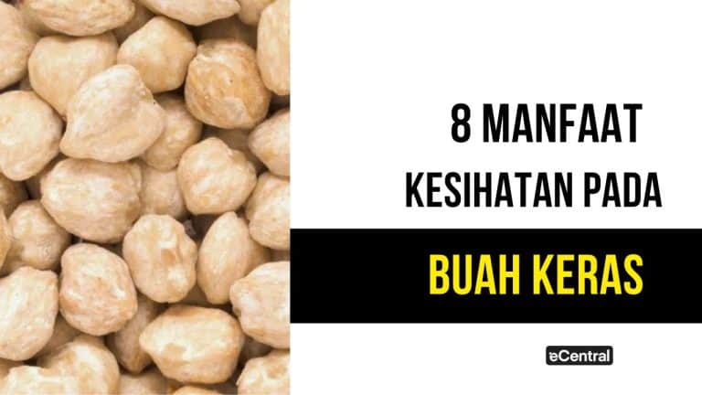 buah keras