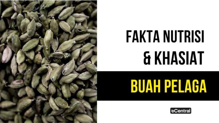 buah pelaga