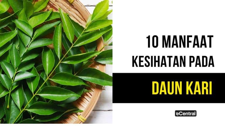 daun kari