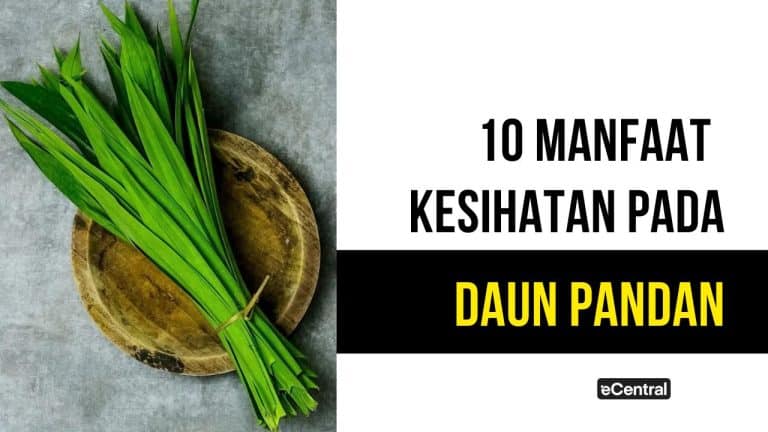 daun pandan