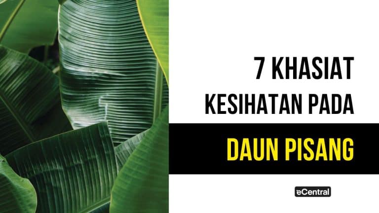 daun pisang