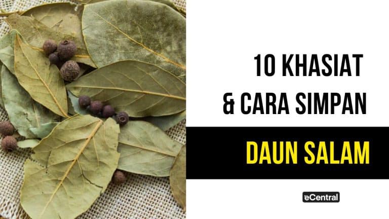 daun salam