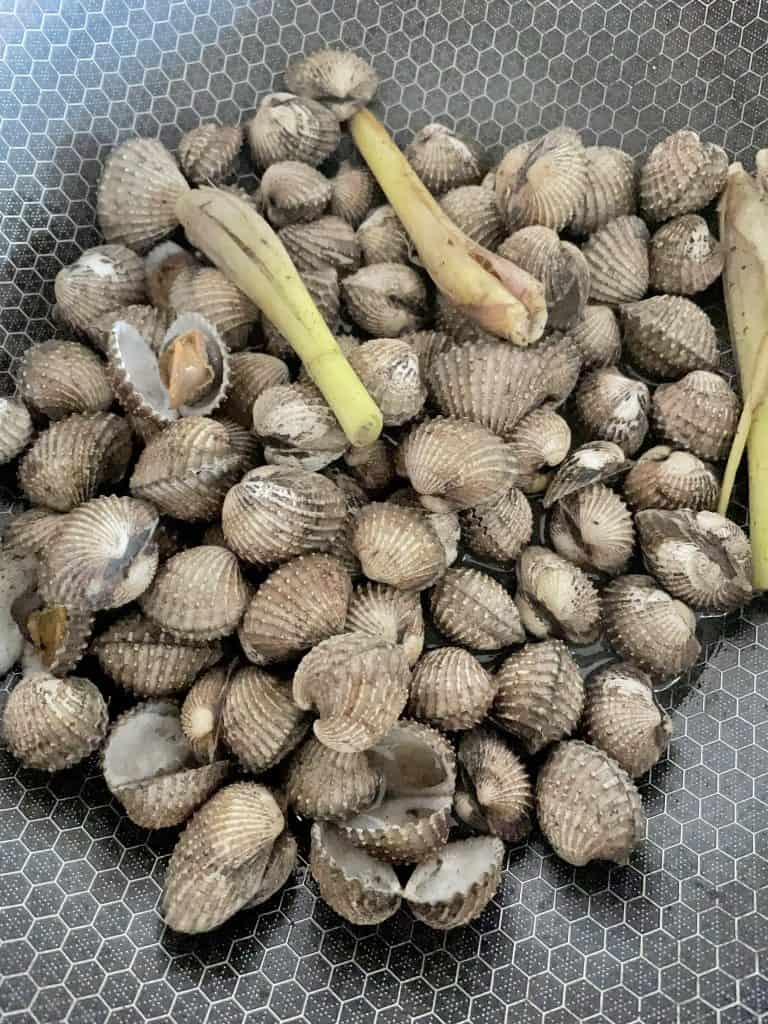 kerang rebus