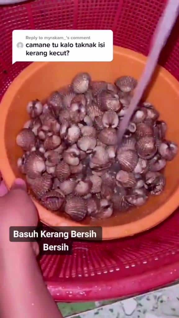 kerang rebus