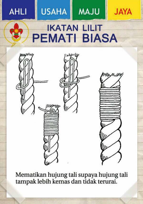 Lilit pemati biasa