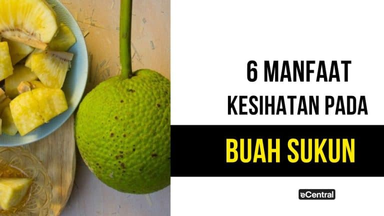 buah sukun