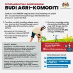 budi-agri-komoditi