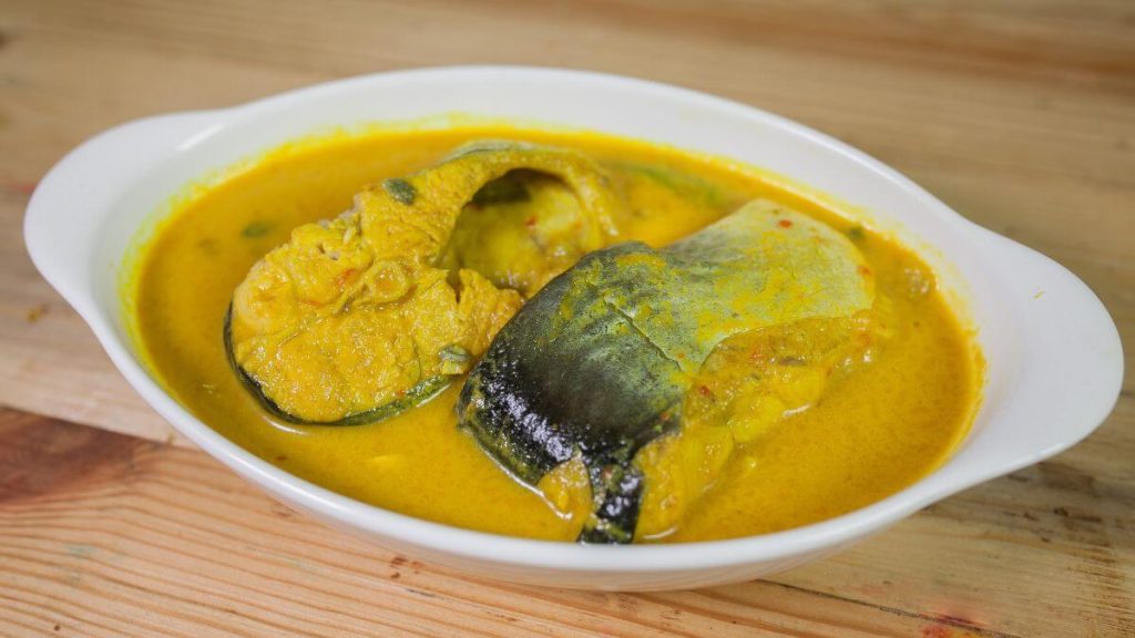 ikan patin