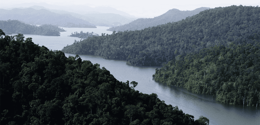 Taman Negara Malaysia: Senarai Aktiviti Menarik & Cara Pergi Ke Taman Negara