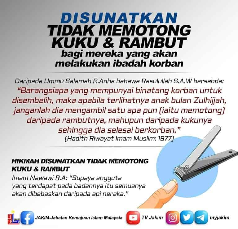 potong kuku korban 2024